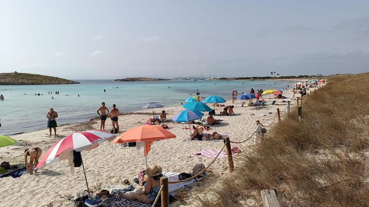 la razón oculta tras el cese de la jefa de Costas de Baleares