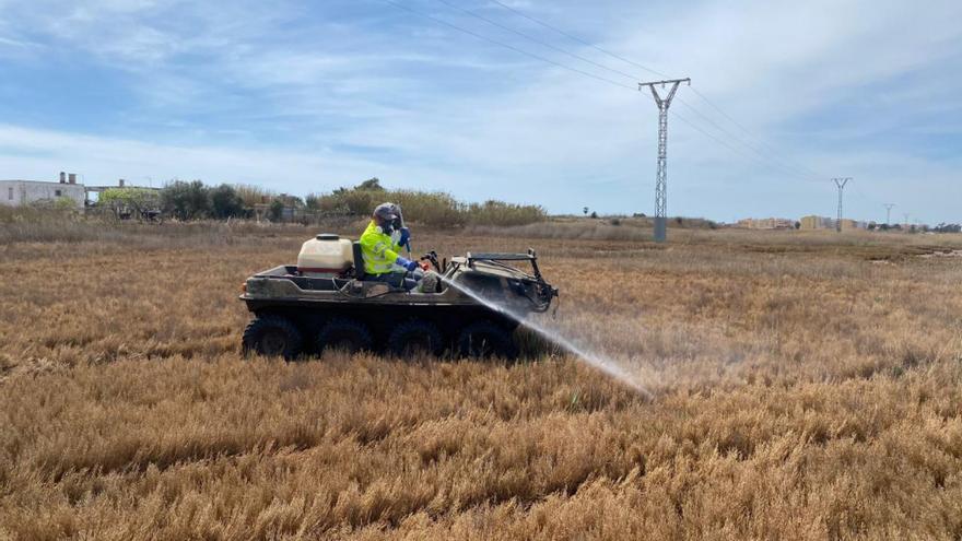 La Diputación de Castellón redobla esfuerzos para prevenir la proliferación de mosquitos