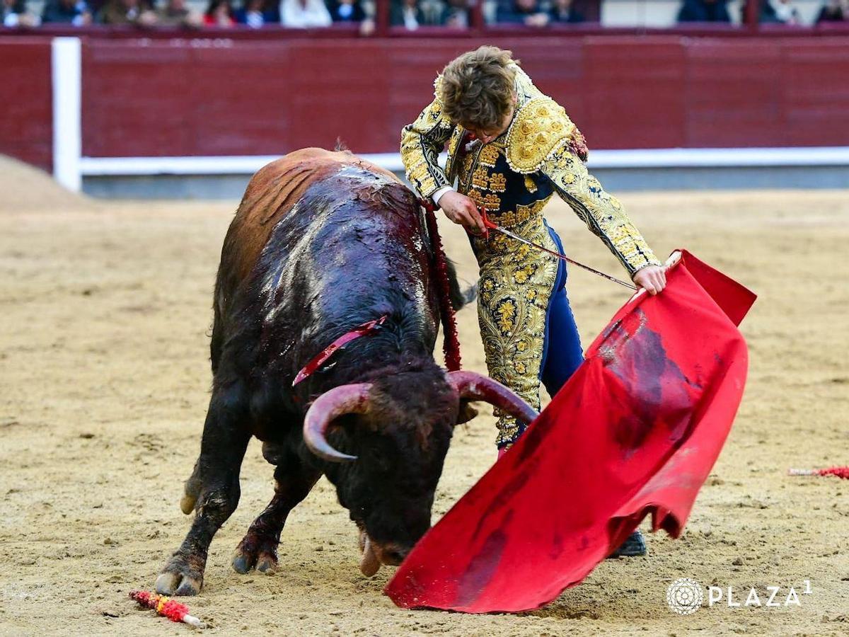 Extraordinario natural de Serrano, lleno de pureza, en Madrid