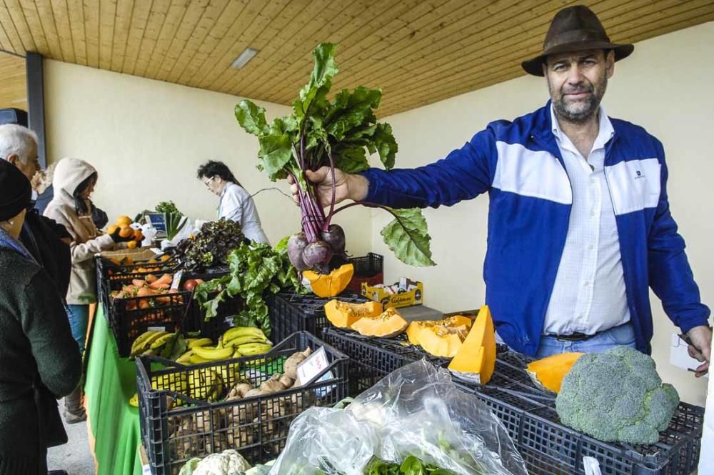 Mercado de berros a 1 euro en Ingenio