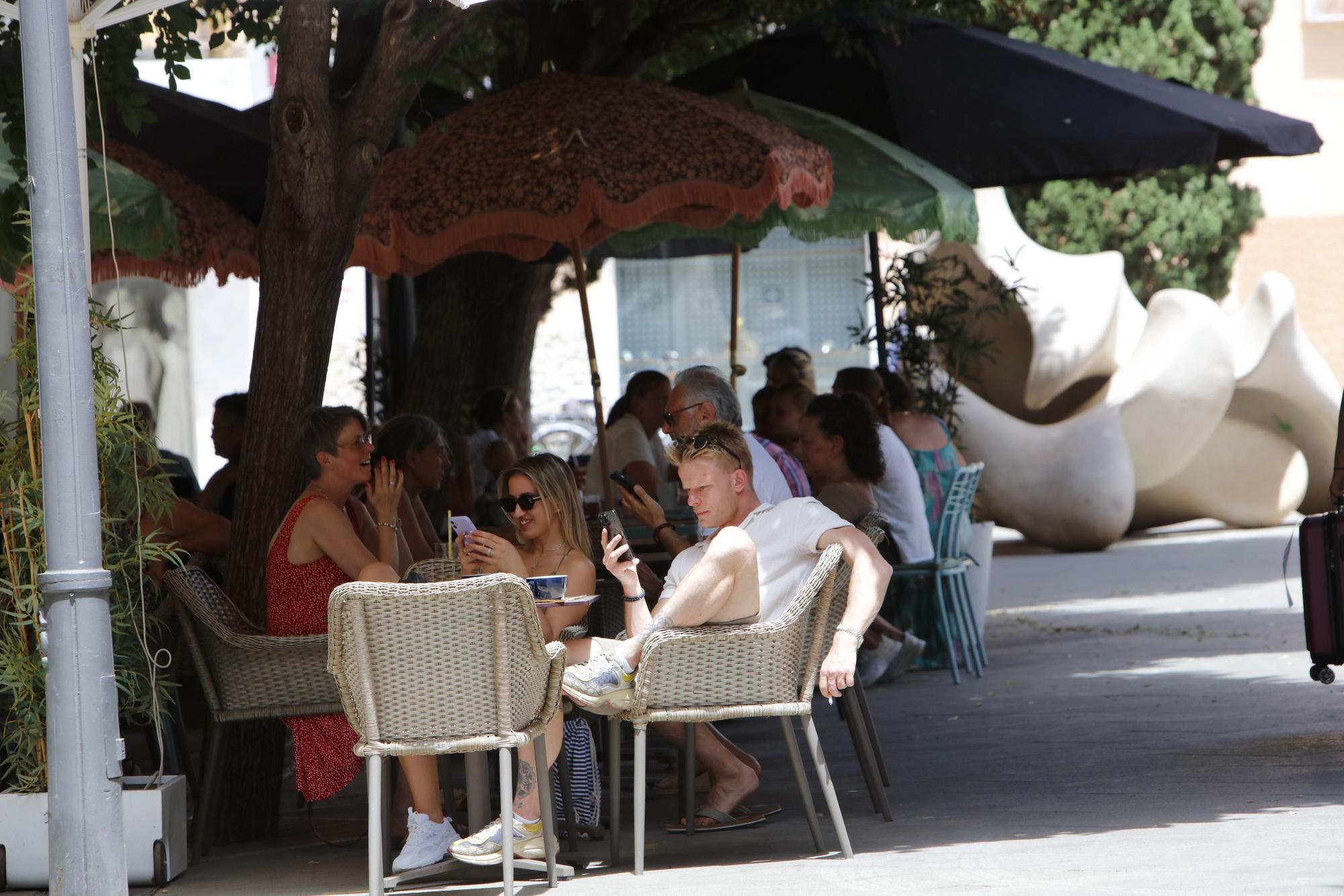 Summer in the city: So genießen die Urlauber das Leben in Palma de Mallorca