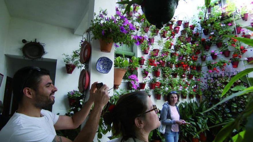 Estos son los nueve recintos de la ruta 5 de los Patios de Córdoba en la Judería