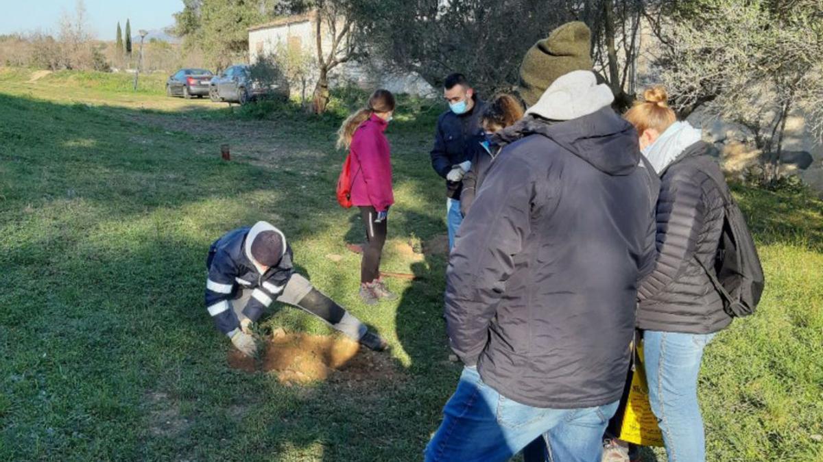 El repoblament popular d’arbres a la zona de Can Morral del Riu aconsegueix plantar 200 alzines | AJUNTAMENT D’ABRERA