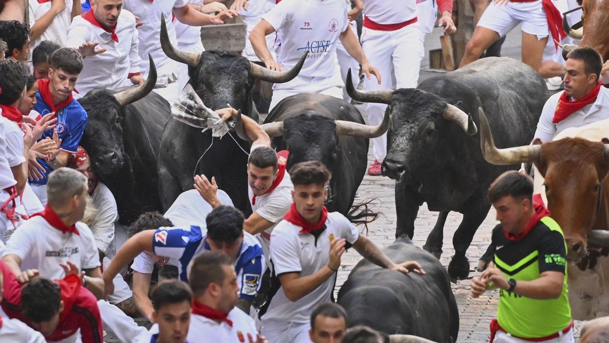 Octavo y último encierro de San Fermín con toros de la ganadería Miura