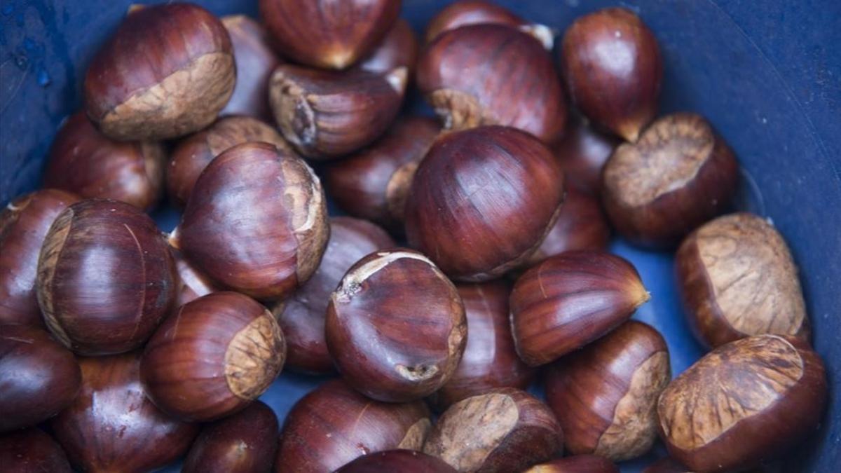 Barcelona tendrá 34 puestos de castañas y boniatos