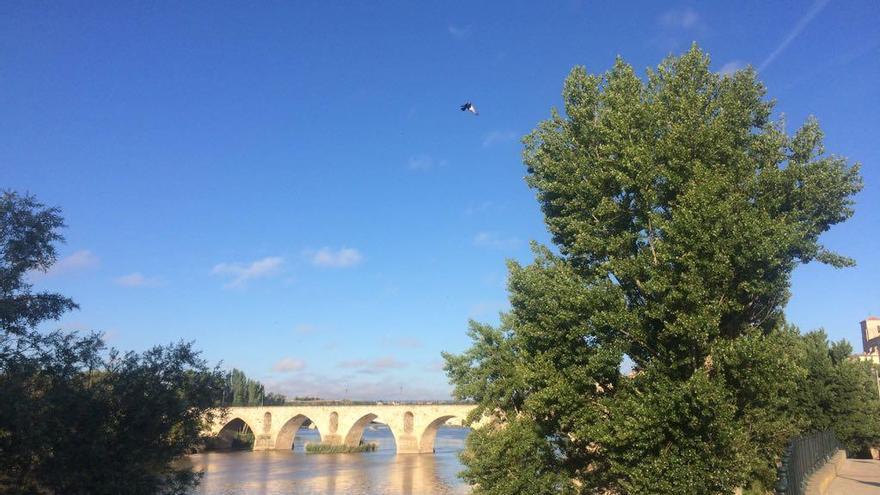 El río Duero a su paso por el puente de Piedra, esta mañana.