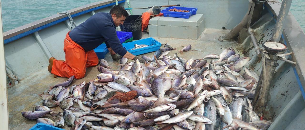 Una embarcación de la Cofradía de Pescadores de El Campello con sus capturas