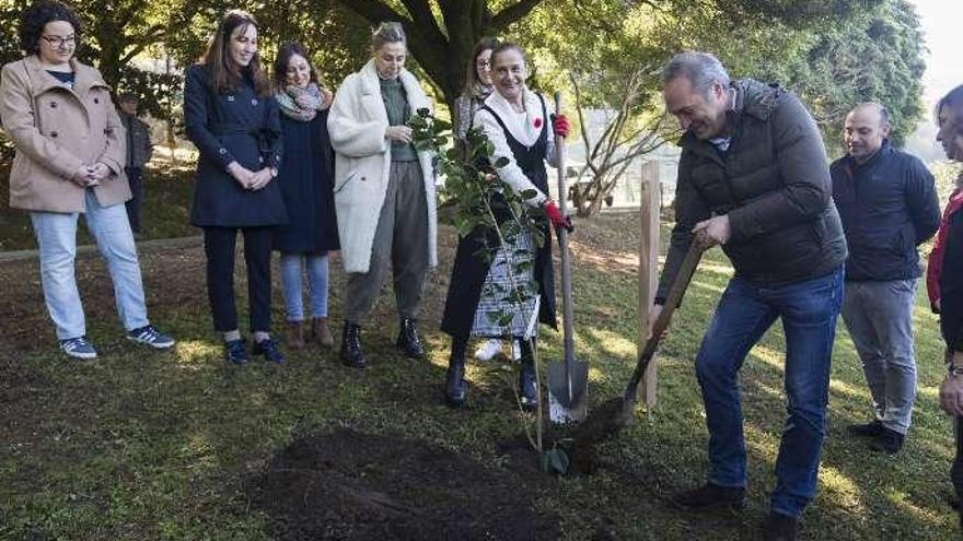 Carmela Silva y Agustín Reguera, ayer, plantan la camelia en Soutomaior. // FdV