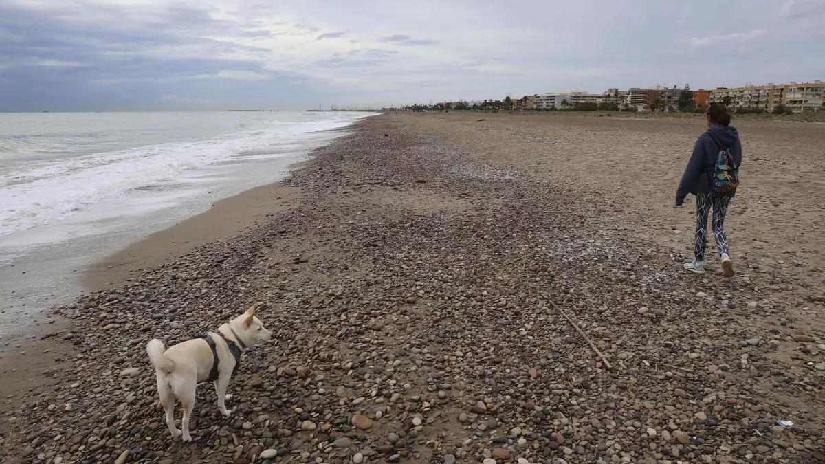 El estado de la zona de Almardà que linda con Canet preocupa a vecinos de la zona