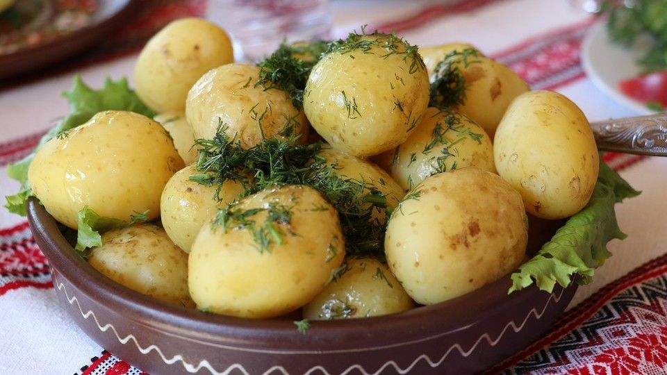 ukrainian dill potatoes 2652561 960 720