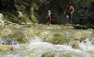 El subtropical de la Axarquía se abona a los pozos del río Chíllar frente a la grave sequía