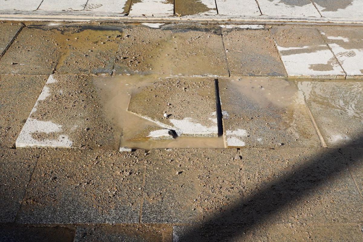 Bache en la Avenida de la Constitución