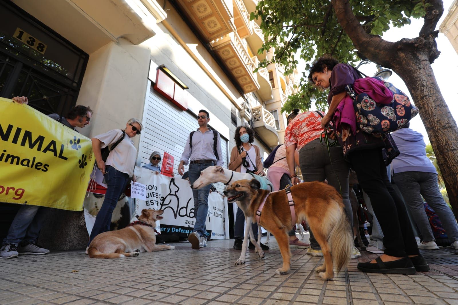 Protesta animalista ante la sede del PSOE en Zaragoza