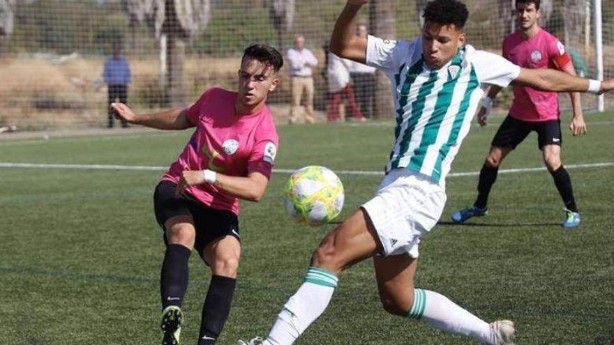 Córdoba B y Pozoblanco protagonizan un derbi de urgencias