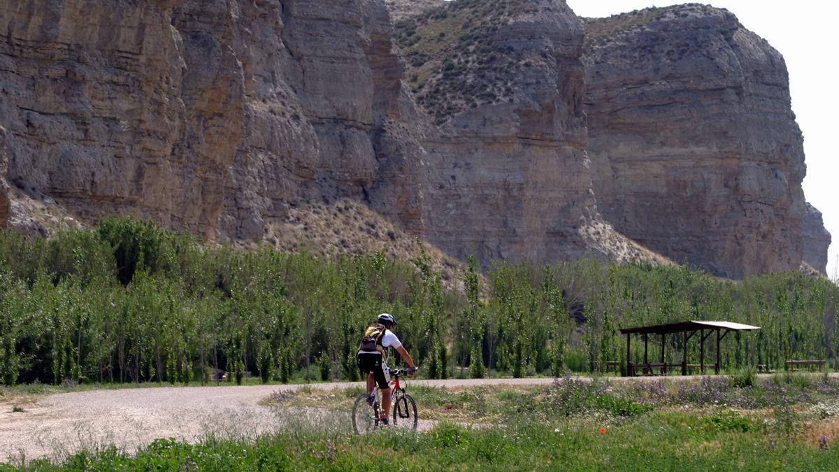 El verano es un buen momento para acercar hasta este paraje único de Zaragoza por su biodiversidad.