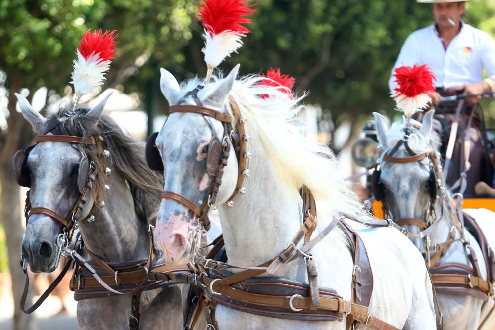 Men in Traditional Hats Spanish Horseman Fuengirola Feria Costa