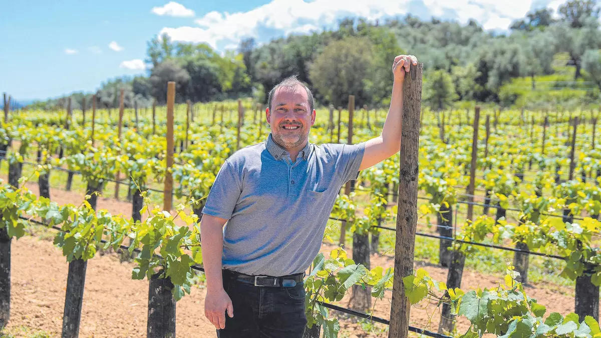 Ferran Vila: «El consum de vi baixa però hi ha més marques»