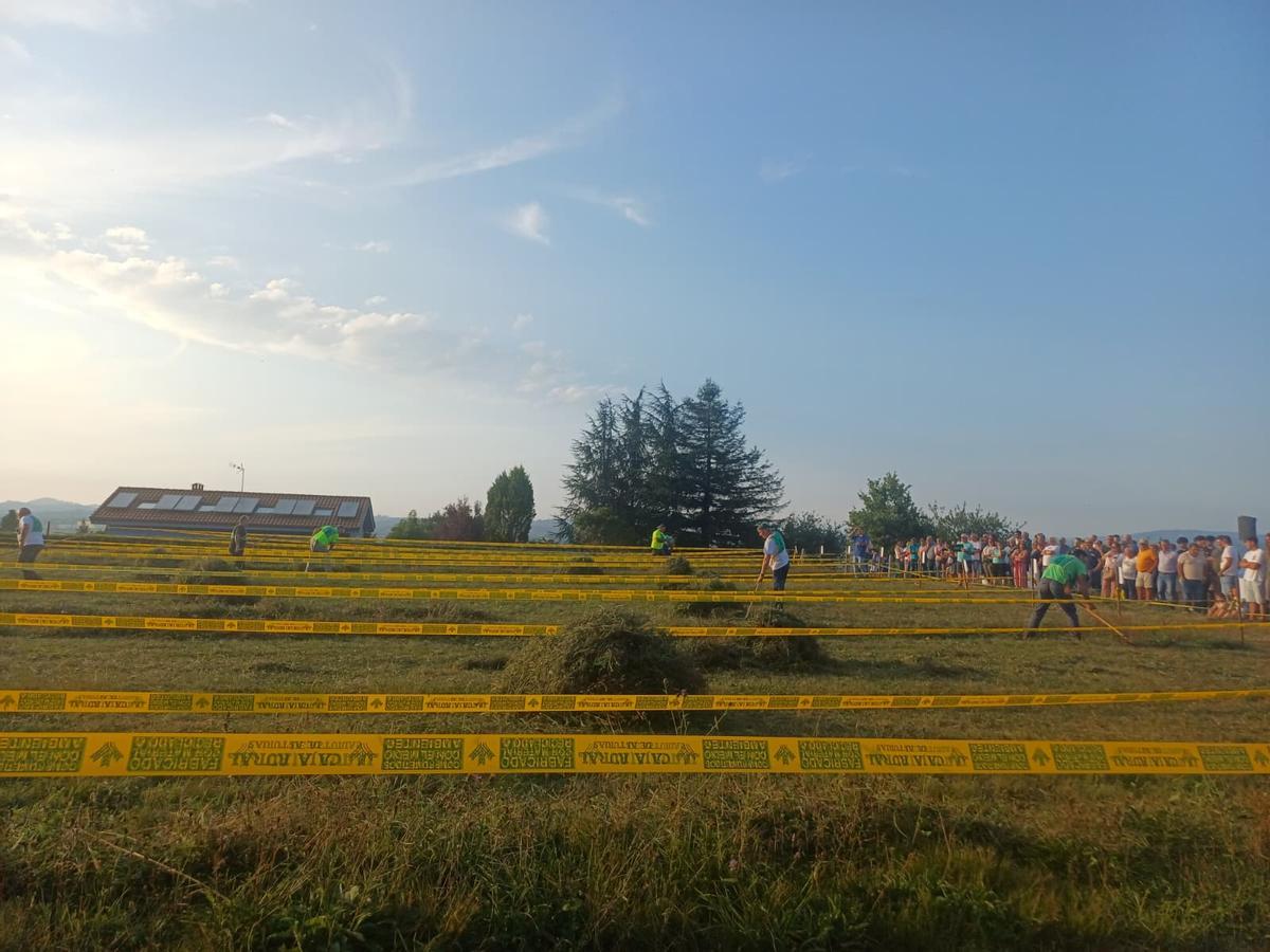 El concurso de siega de Santa Marina, en imágenes