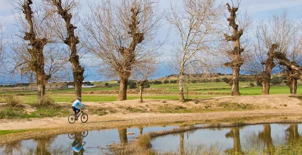 Los paisajes de la Hoya 
  a golpe de pedal
