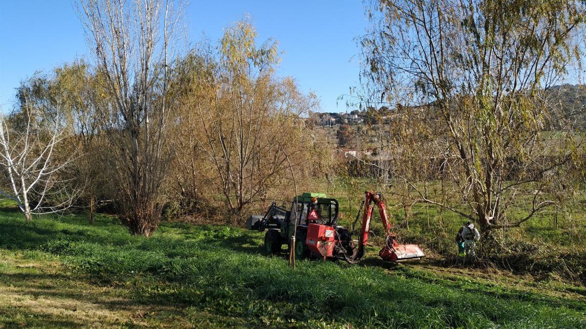 Comienza la limpieza de la Ribera del Marco de Cáceres