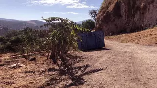 Ecologistas en Acción Priego califica de "gravísima" la tala de ailanto en el Bajo Adarve por el daño que causa a la avifauna