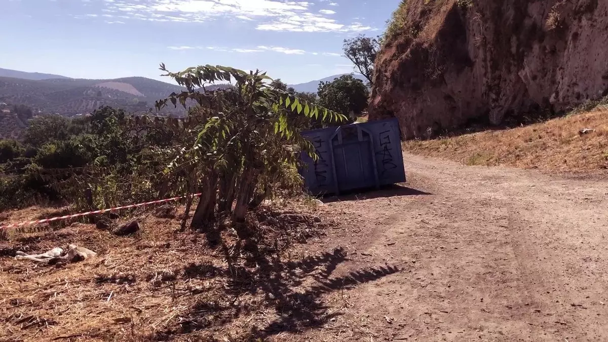Ecologistas en Acción Priego califica de "gravísima" la tala de ailanto en el Bajo Adarve por el daño que causa a la avifauna