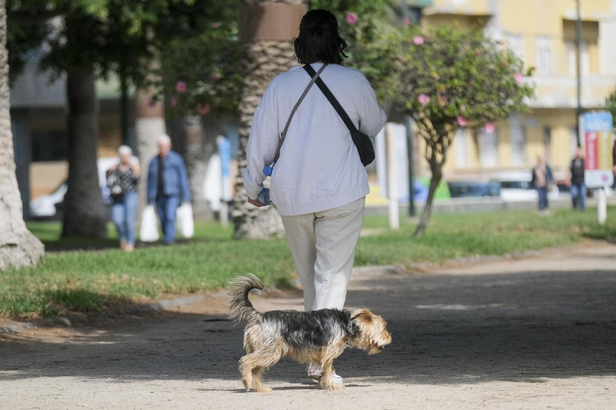 Una mujer pasea a su perro suelto en el Parque Romano.