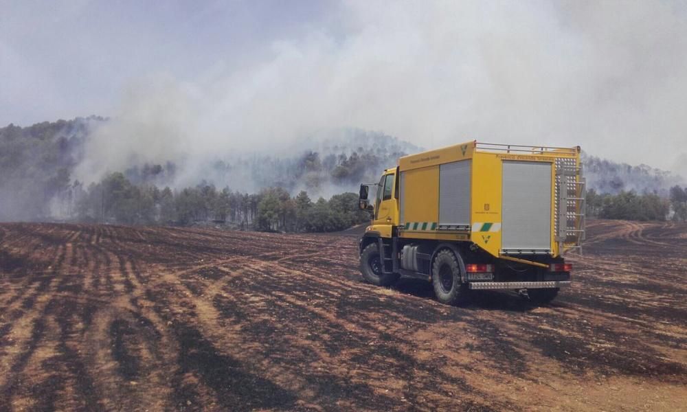 Incendi forestal a Bellprat