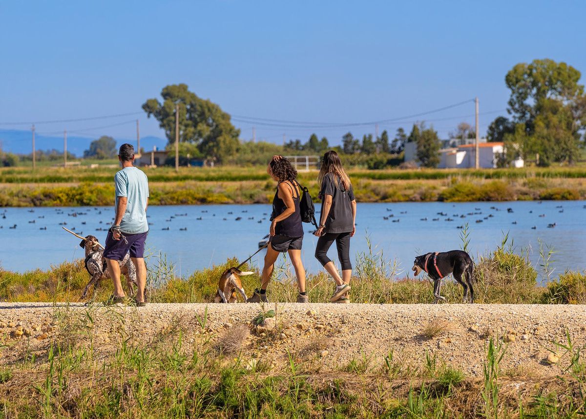 Cuenta con diferentes itinerarios para la observación de la fauna, la vegetación y el paisaje