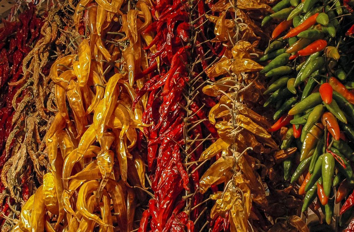Diferentes variedades de chile