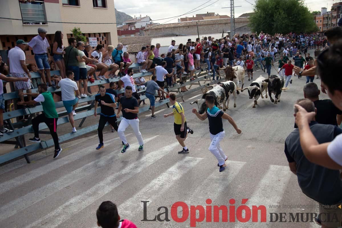 Primer encierro de la Feria del Arroz de Calasparra