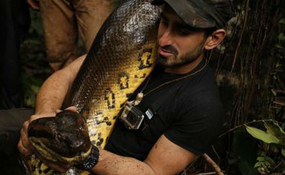 Discovery Channel ha emès aquest diumenge l’esperat programa de l’explorador amb l’anaconda.