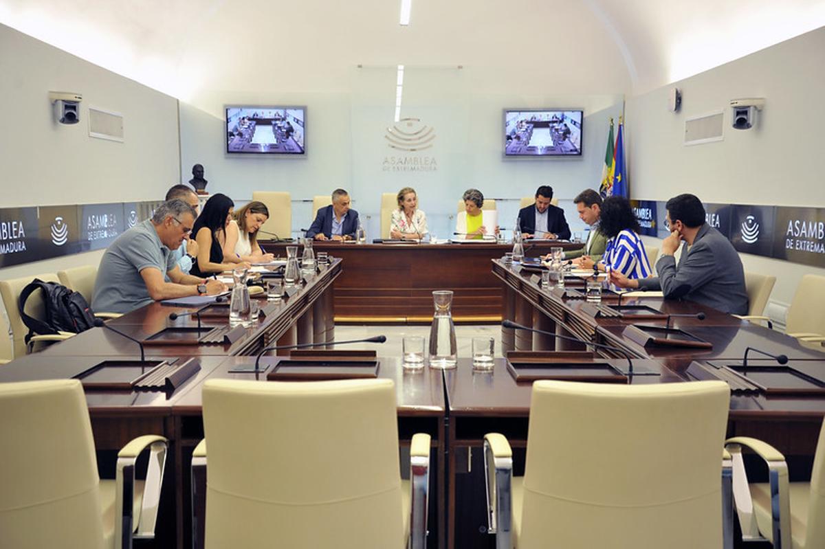 Comisión de Cultura, Turismo y Deportes de la Asamblea de Extremadura.