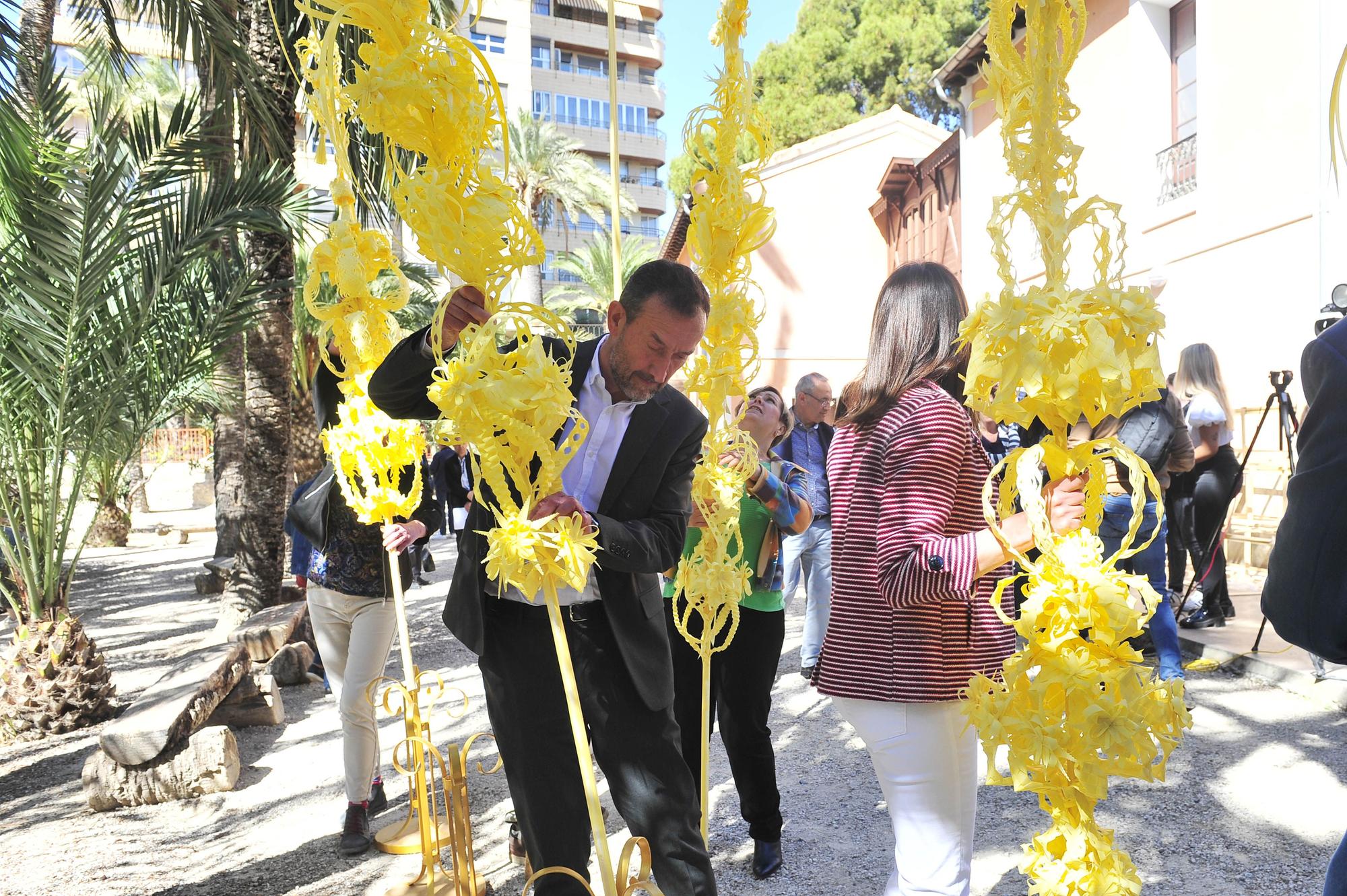 Elche envía unas majestuosas palmas blancas al Papa, a la reina Letizia y a Pedro Sánchez