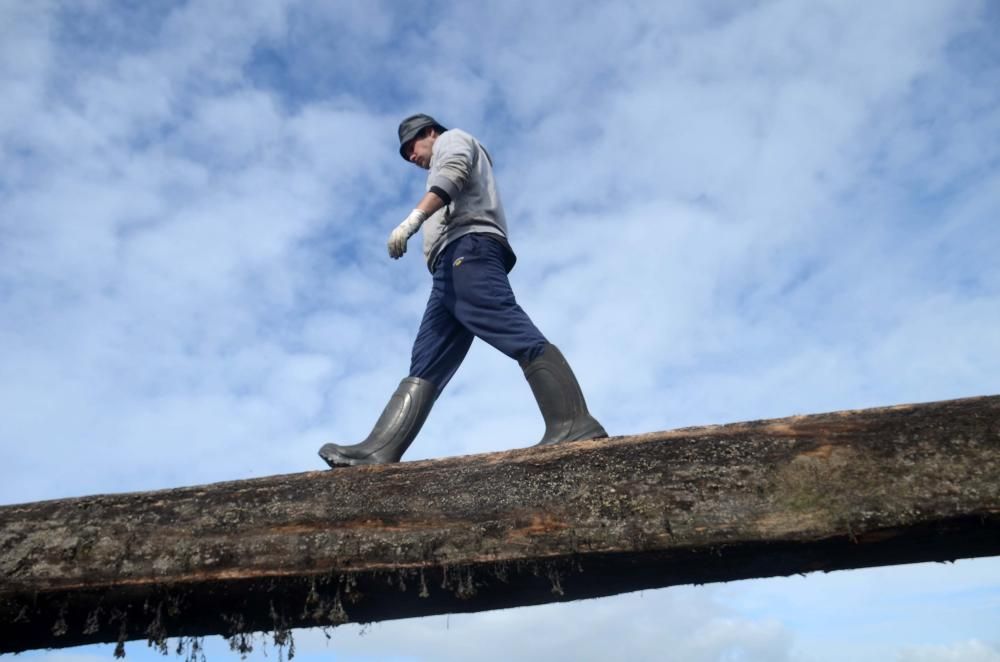 La construcción de bateas llega a Vilagarcía.