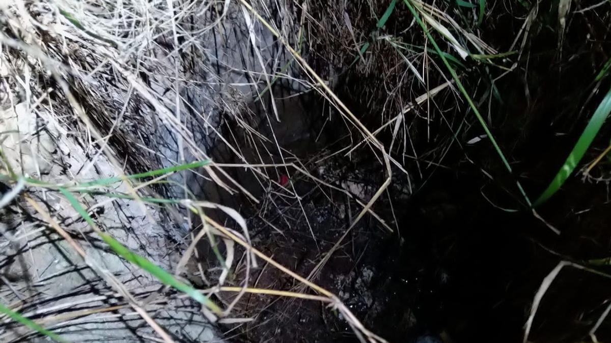 El lugar estaba lleno cañas y vegetación y era difícil para el niño volver a salir por donde había entrado.