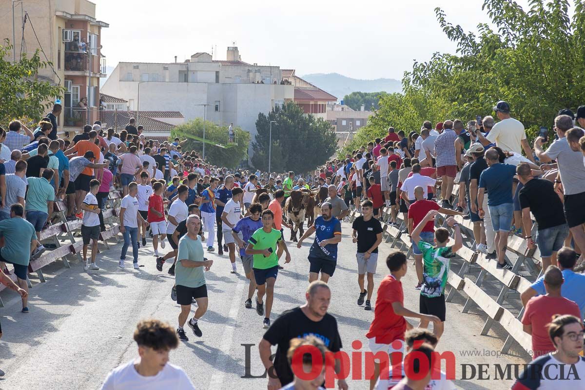 Sexto y último encierro de la Feria Taurina del Arroz en Calasparra