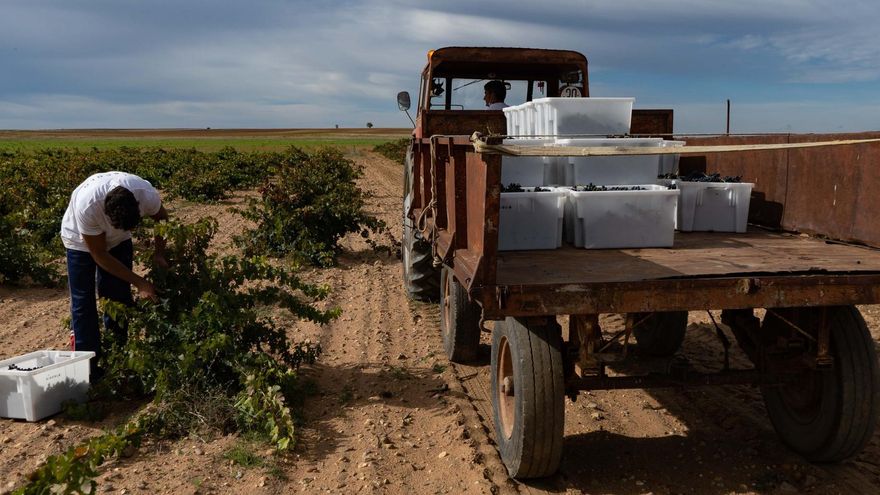 Cuatro de cada diez perceptores de la PAC en Zamora no viven &quot;solo&quot; del campo