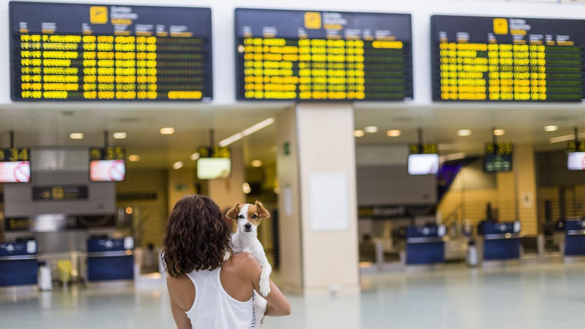 La curiosa forma de recibir a los perros en el aeropuerto de Madrid