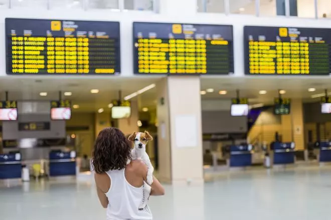 La curiosa forma de recibir a los perros en el aeropuerto de Madrid