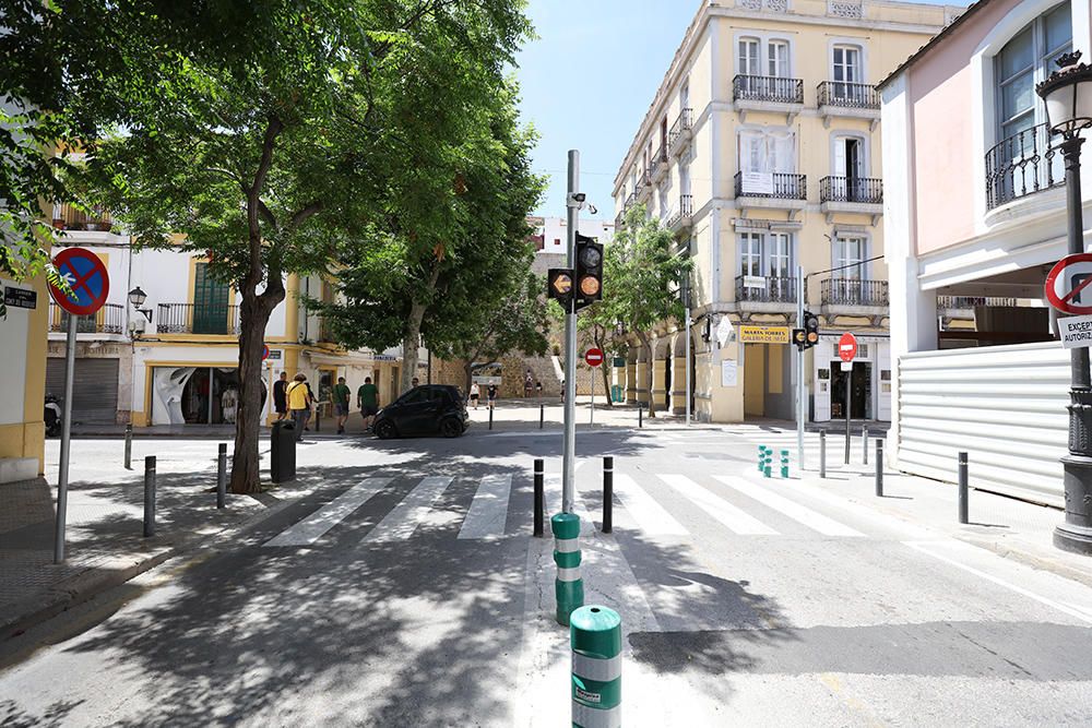 Las variedades de almendro autóctonas 'pau' y 'espineta' se injertan en 126 árboles para crear un banco de semillas.