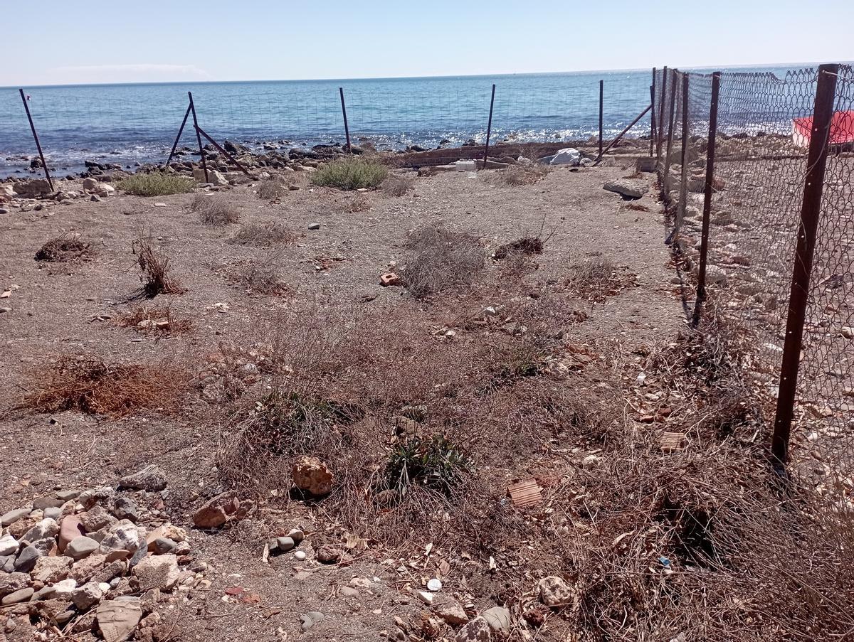 Otra vista de los restos vallados de 'Limonium carminis', el pasado 30 de septiembre.