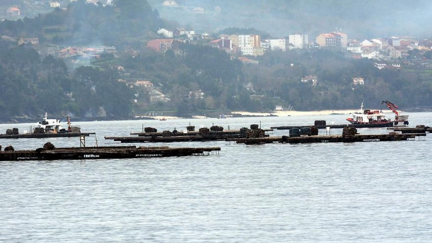 Un grupo de bateas ante la costa de Poio. // R. Vázquez