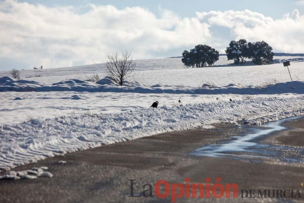 La nieve sigue siendo protagonista en el Noroeste