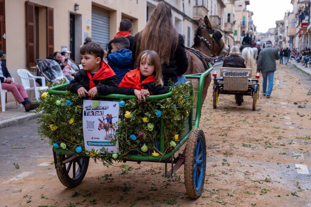 So eindrucksvoll waren die Tiersegnungen zu Sant Antoni 2026 in Muro