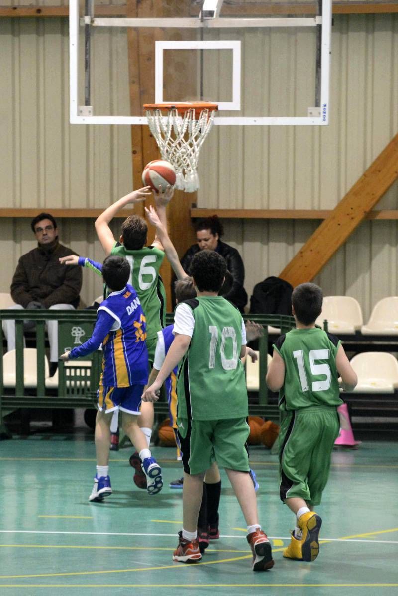 BALONCESTO: El Olivar - La Salle (Alevín B)