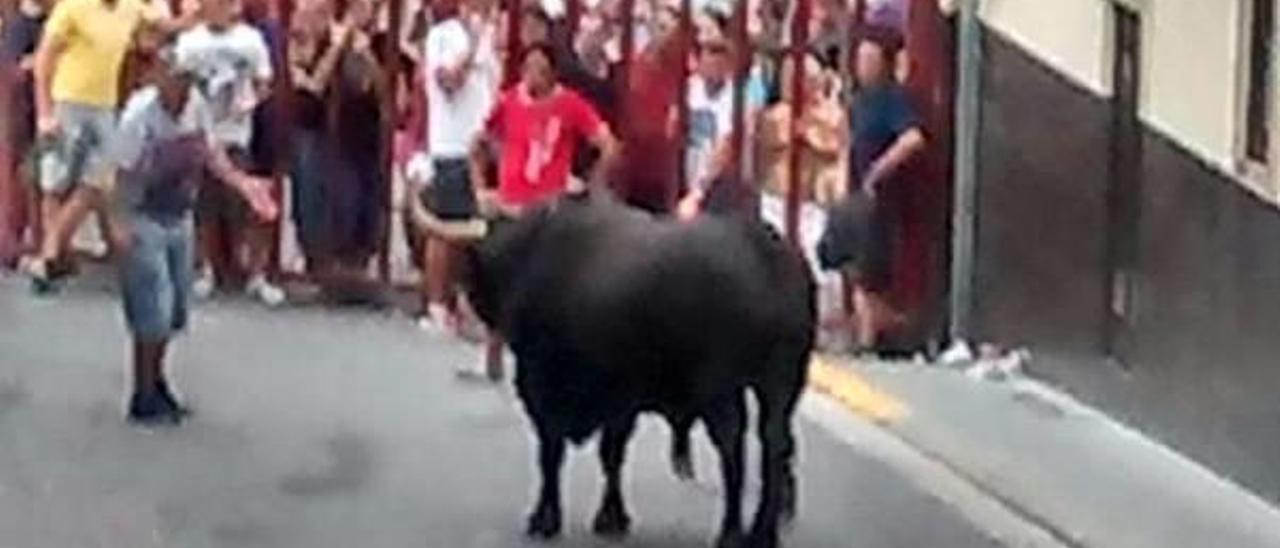 La familia del fallecido en los toros de Borriol asegura que fue un accidente