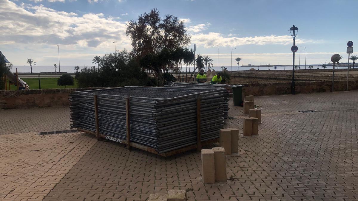 Cort instala vallas alrededor de la plaza Llorenç Villalonga en medio de las protestas vecinales por la tala de los bellasombra