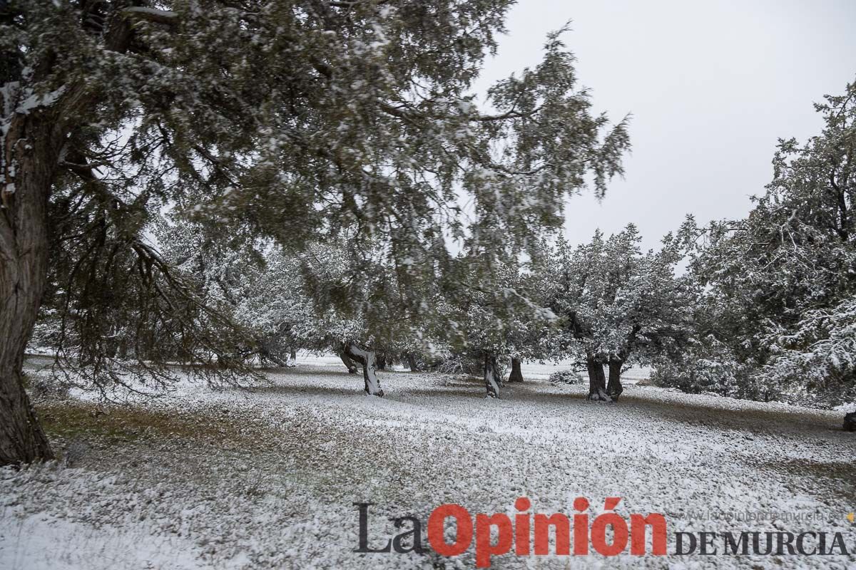 Nieve en el Noroeste