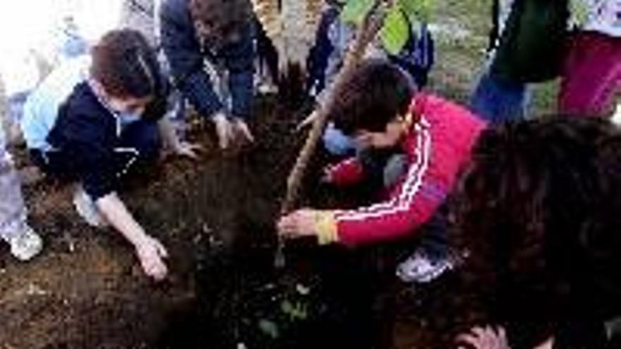 Escolares de Garganta plantan 130 árboles